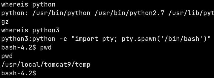 Python TTY-backed shell